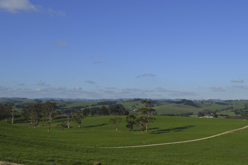 pet boarding kennel Gippsland